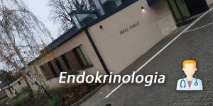 Endokrinologia